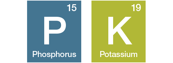 Phosphorus and Potassium