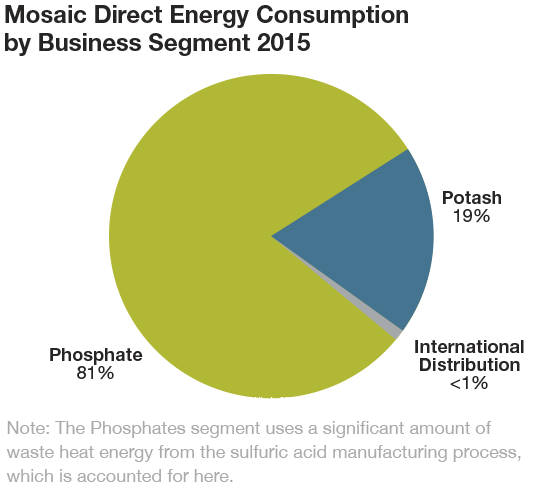 mosaic energy consumption by business segment 2014
